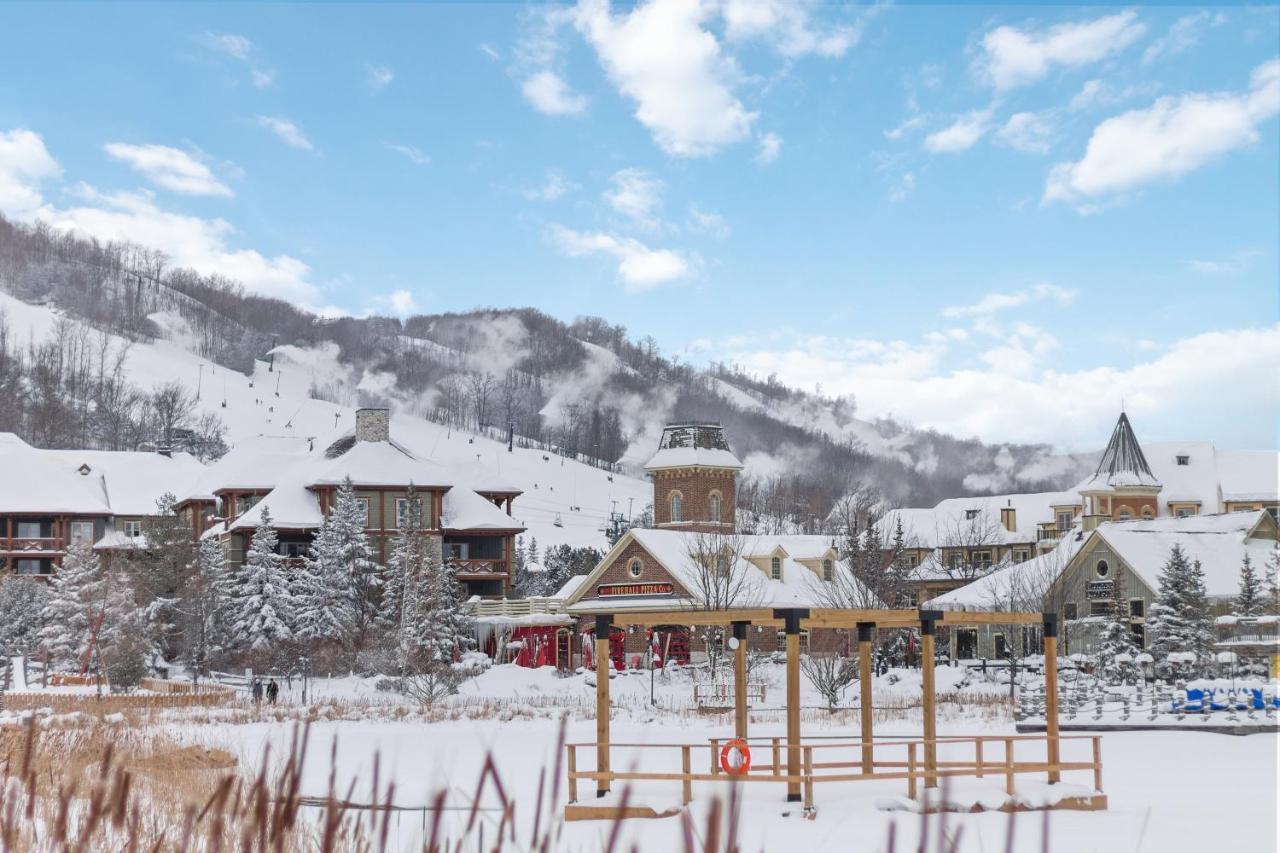 Modern Mountainside Ski In Ski Out 87111 Blue Mountains Exterior photo